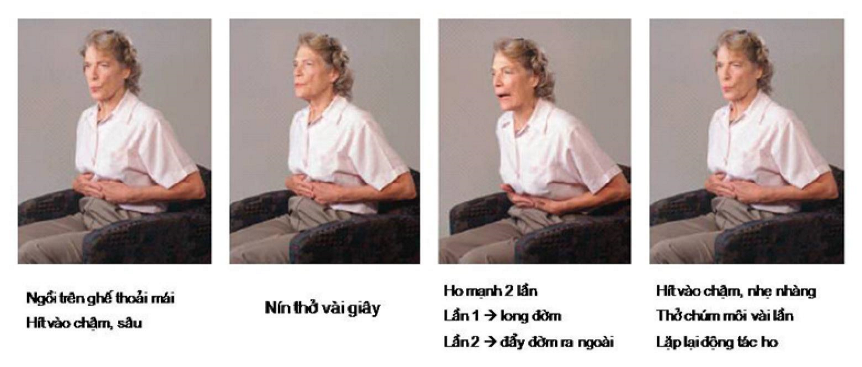 Ho có điều khiển