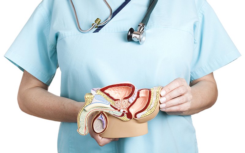 ung thư tuyến tiền liệt