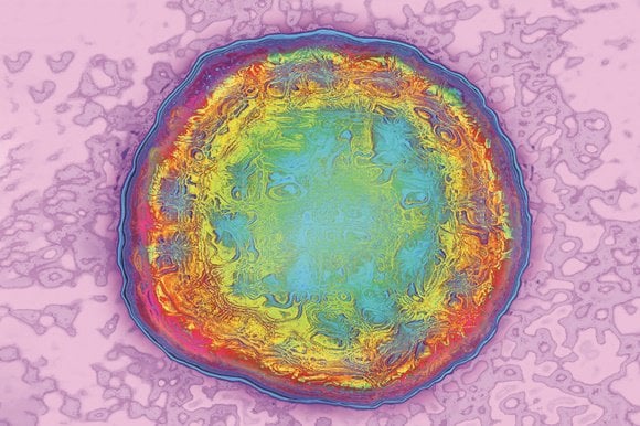 Phòng viêm gan virus B truyền từ mẹ sang con - ảnh 1