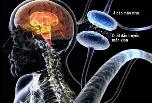 15 điều có thể thay đổi tính cách của bạn - ảnh 1
