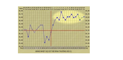 Nhận biết thời điểm thụ thai (Fertility awareness methods) - ảnh 5
