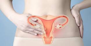 Estrogen và cảm xúc của phụ nữ - ảnh 1