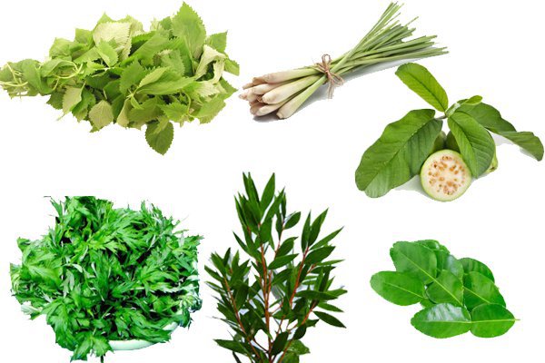 Xông lá: Cách chữa cảm lạnh thông thường mà hiệu quả - ảnh 1