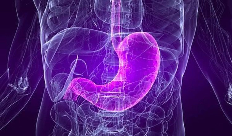 Điều trị viêm phổi liên quan đến thở máy - ảnh 2