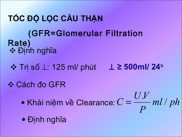 Tính mức lọc cầu thận theo creatinin máu - ảnh 2