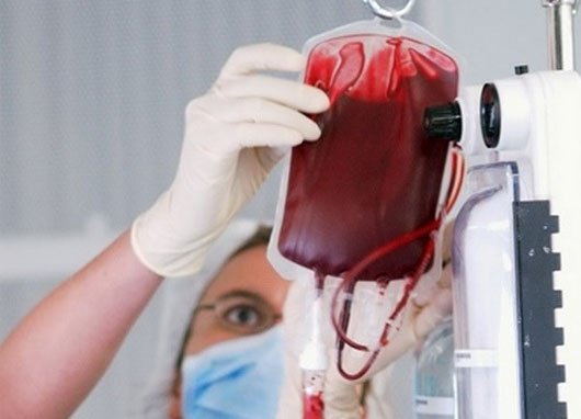 Nhiễm trùng trong bệnh thalassemia thể nặng - ảnh 1