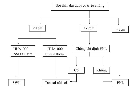 Sỏi đài thận dưới