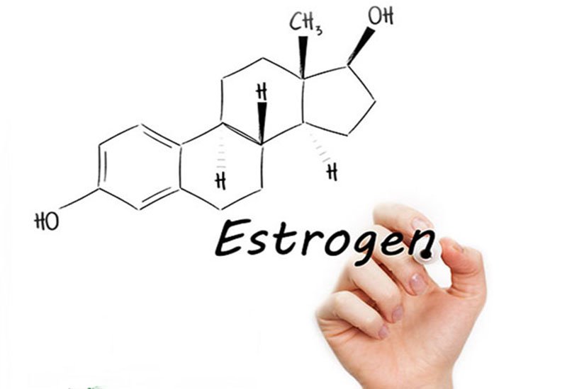 estrogen là gì