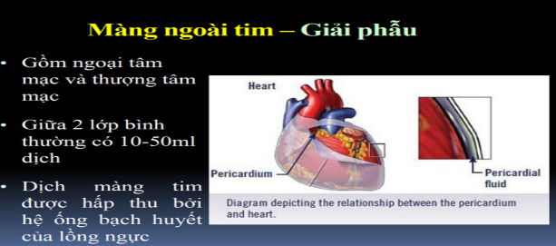 Giẫu phẫu màng ngoài tim